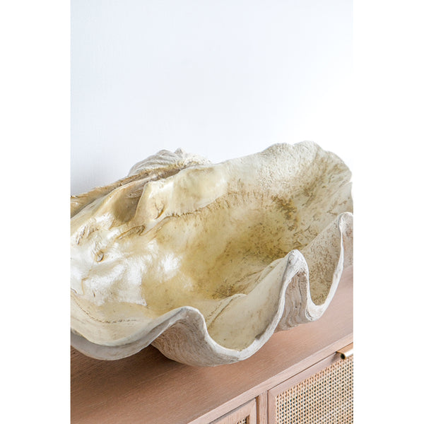 English Elm 25.3x16.5x8.5" Oversized Clam Shell Sculpture Glossy Coastal Decor Display Piece W2078P491173