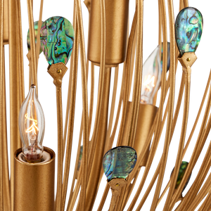 Delphos Chandelier - Elegant Nature-Inspired Fixture with Iridescent Paua Shells & Gold Finish