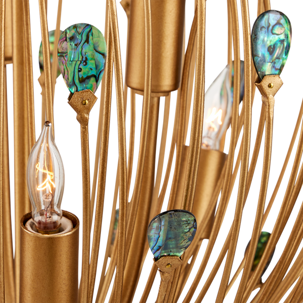 Delphos Chandelier - Elegant Nature-Inspired Fixture with Iridescent Paua Shells & Gold Finish