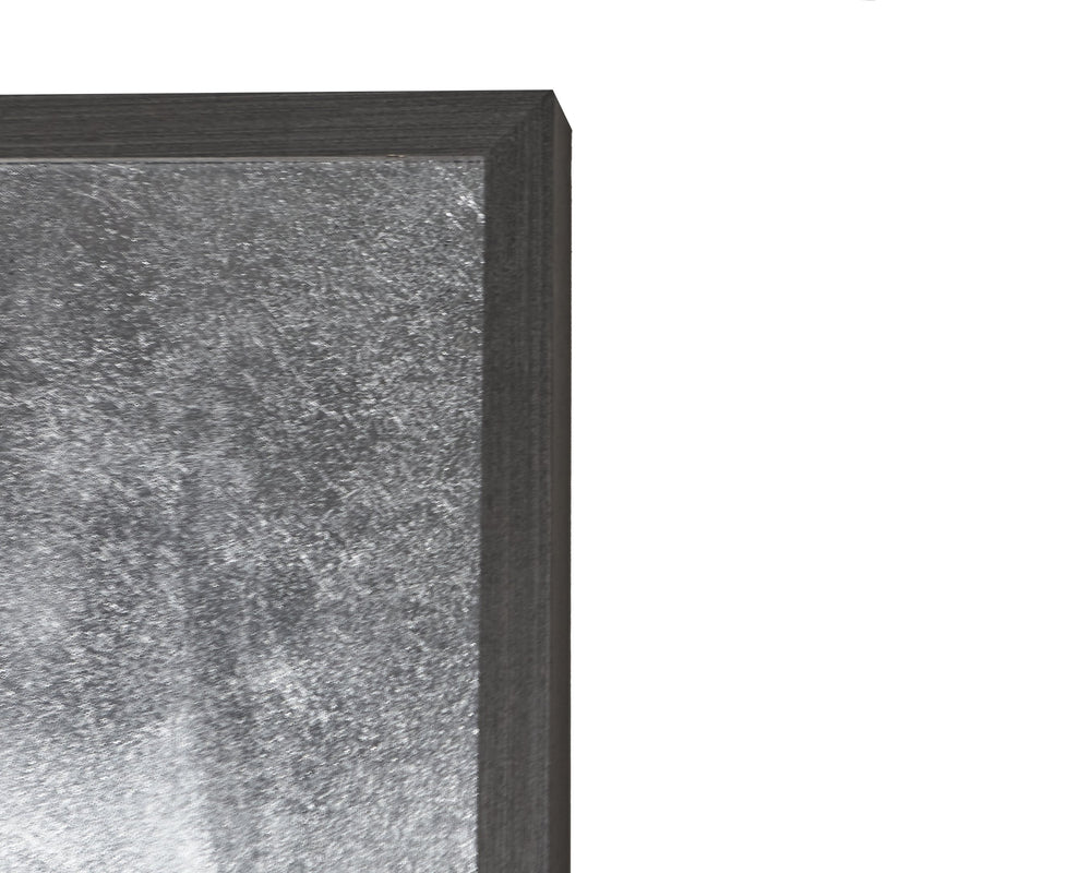 Sunpan Cobra 427 Vintage Wall Art - Luxe Collection with Handcrafted Silver Leaf & Charcoal Frame Decor