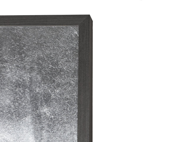 Sunpan Cobra 427 Vintage Wall Art - Luxe Collection with Handcrafted Silver Leaf & Charcoal Frame Decor