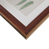 Martha Stewart Lady Fern Collection Transitional Botanical Illustration 3-piece Framed Glass and Single Matted Wall Art Set MT95G-0003 Green