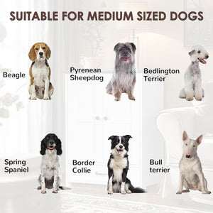 English Elm Dog Feeding Station Cabinet with Pull Out Bowls Storage Hooks White Pet Organizer W1687P205402