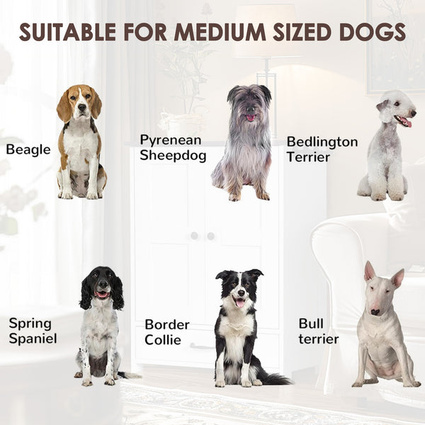 English Elm Dog Feeding Station Cabinet with Pull Out Bowls Storage Hooks White Pet Organizer W1687P205402