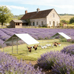 English Elm Large Galvanized Steel Walk-in Poultry Run with Oxford Canopy for Outdoor Flocks T3971S00112