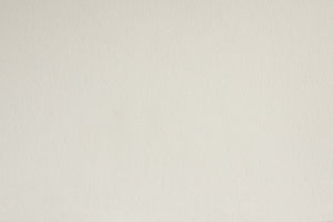 English Elm Contemporary Velvet Upholstered Rounded Back Dining Chairs with Gold Accent Legs Set of 2, Elegant Comfort Cream 30.12 L x 24.22 W x 22.25 H B011P290550