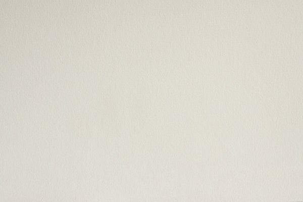 English Elm Contemporary Velvet Upholstered Rounded Back Dining Chairs with Gold Accent Legs Set of 2, Elegant Comfort Cream 30.12 L x 24.22 W x 22.25 H B011P290550