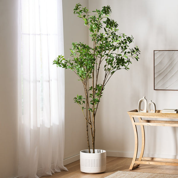 English Elm 240cmartificial Pieris Tree Lifelike Cascading Foliage Tall Indoor Botanical Accent 74348.00