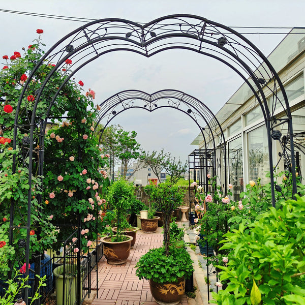 English Elm Metal Gothic Arch Garden Arbor Powder Coated Steel Trellis for Climbing Roses Black W158681100