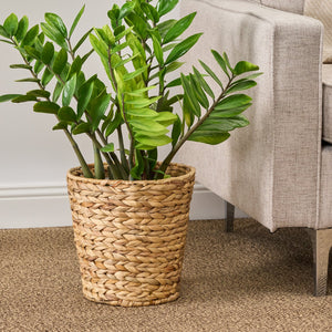 English Elm Water Hyacinth Round Woven 11" Planter & Storage Basket, Breathable Rustic Brown Décor Organizer B093P295027