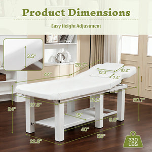 English Elm Spa Salon Massage Table Steel Frame Pu Leather Adjustable Backrest Bottom Shelf Storage W1422P382936