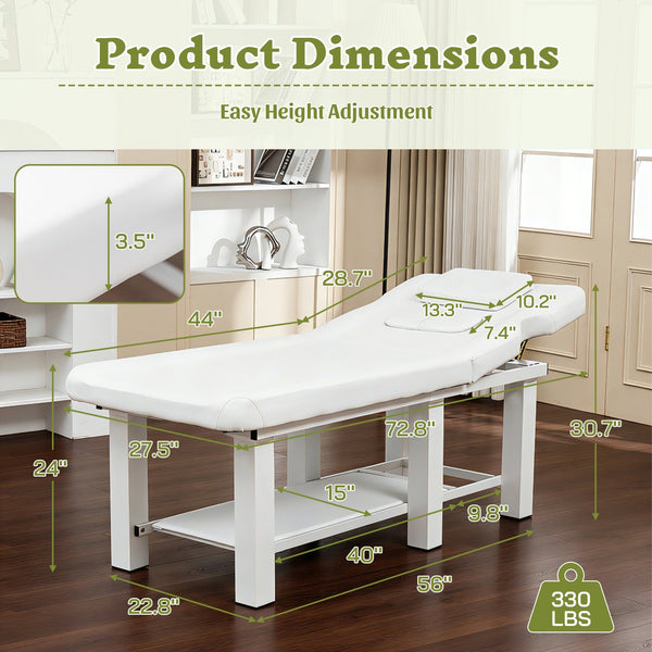 English Elm Spa Salon Massage Table Steel Frame Pu Leather Adjustable Backrest Bottom Shelf Storage W1422P382936