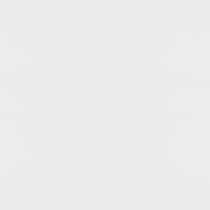 English Elm Synchrony White and Gold Art Deco 2-Door Accent Cabinet with Shelves, Metal Trim, Chic Storage B062P351428