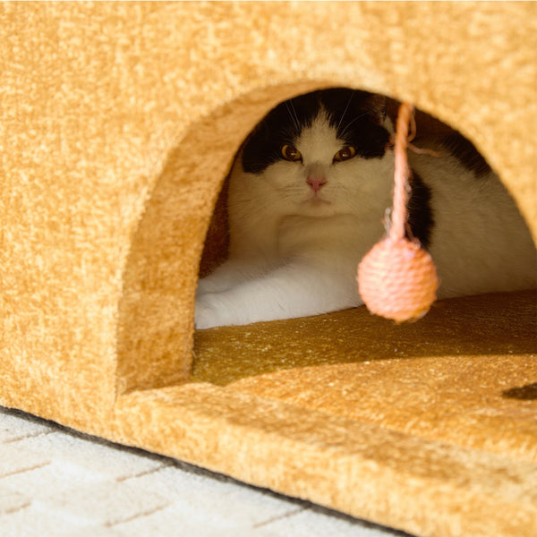 English Elm Modern Chenille Oversized Armchair - Cozy, Pet-Friendly Accent Chair For Stylish Living Rooms & Bedrooms W2997P294097