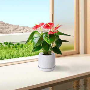 English Elm 2 Pieces Ceramic Planter Pot Set – Elegant Gloss White Flowerpots For Indoor & Outdoor Decor Spaces W3273P322374