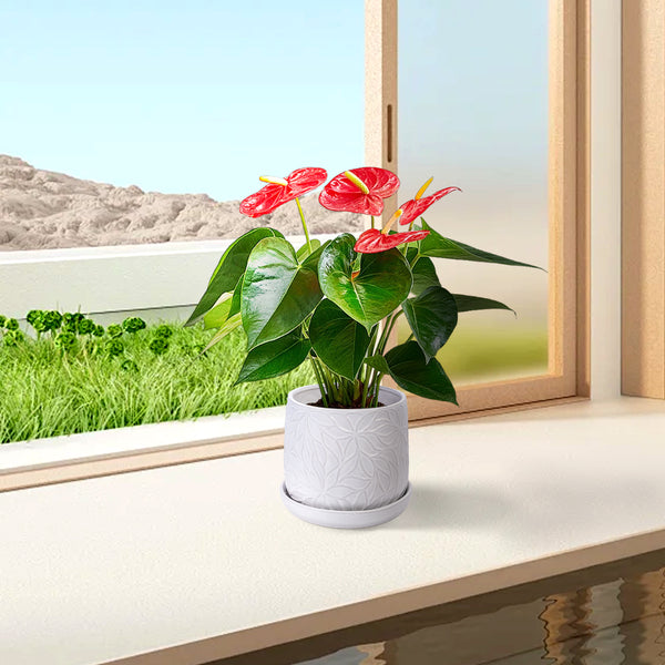 English Elm 2 Pieces Ceramic Planter Pot Set – Elegant Gloss White Flowerpots For Indoor & Outdoor Decor Spaces W3273P322374