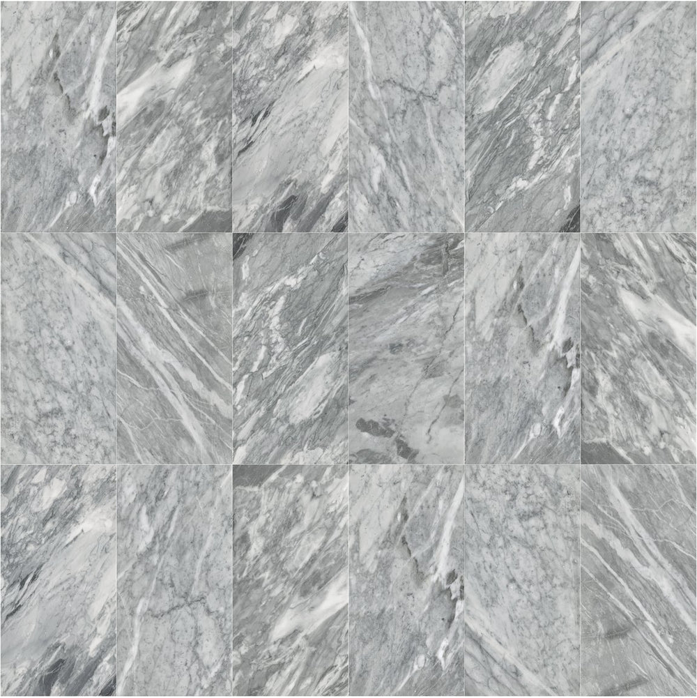 English Elm 12*24 Carrara Gray Polished Marble Tiles - Elevate Your Space With Timeless Elegance & Durability W1696104353