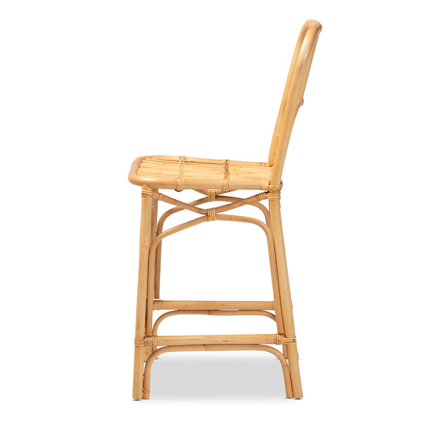 English Elm Modern Rattan Dining Chair Set of Two with Woven Back and Black Iron Base B2750P420426