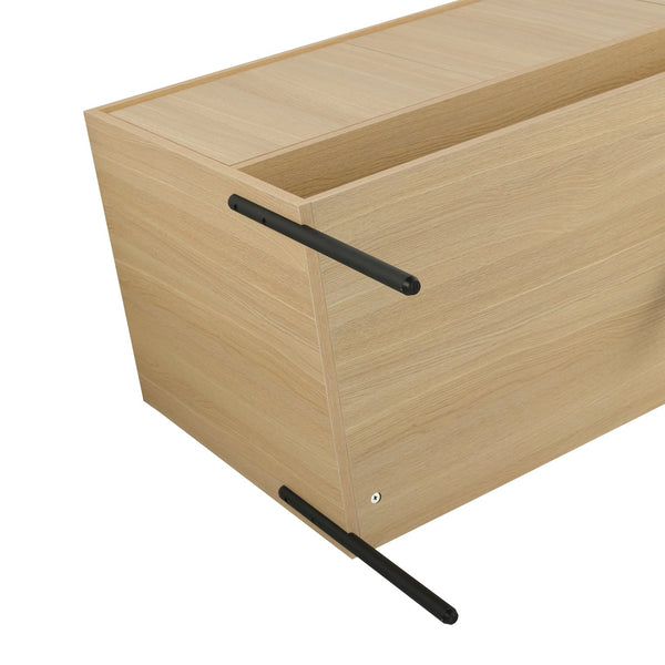 English Elm 48" Modern Freestanding Bathroom Vanity Cabinet, 3 Soft-Close Doors, KD Packing, No Sink Included W1972P199462