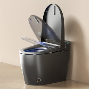 English Elm Unique Intelligent One Piece Toilet with Bidet Warm Air Dryer and Auto Sensor Seat Gray W3133P476382
