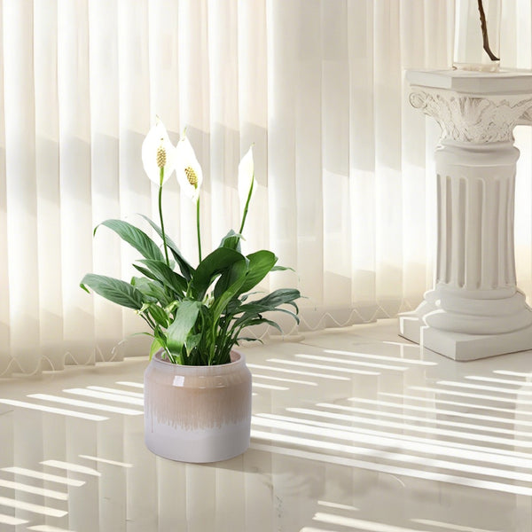 English Elm Set Of 2 Gradient Ceramic Flowerpots - Modern Indoor/Outdoor Planters For Elegant Plant Displays W3273P322301-GIGA