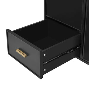 English Elm Christopher Knight Home® - 24" Bathroom Vanity with Ceramic Sink, Solid Wood Frame, Soft-Close Drawers & Ample Storage Appeal Black N759P269734B