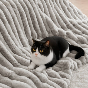 English Elm 3-Piece Queen Coverlet Set Matelassé Elegance with Two Shams — Soft Polyester-Rayon Texture, Durable Comfort Light Gray 21.26 L x 12.99 W x 12.6 H B035P381295