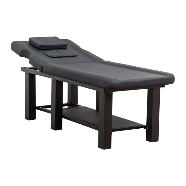 English Elm Spa Salon Massage Table Steel Frame Pu Leather Adjustable Backrest Bottom Shelf Storage W1422P382933