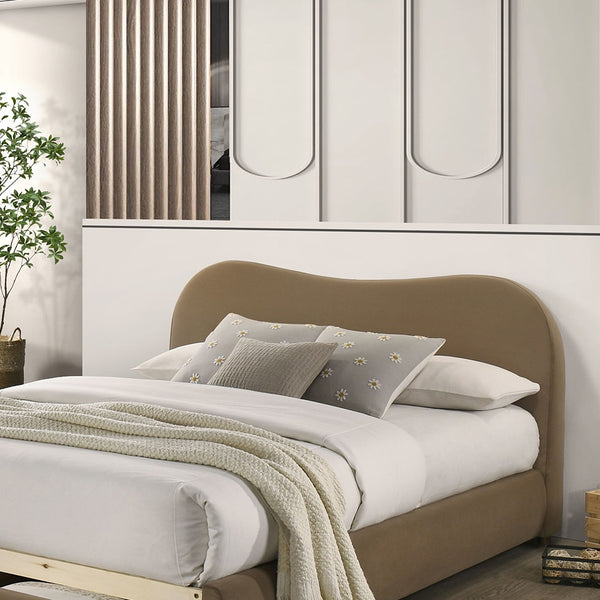 English Elm Beautiful Curved Upholstered Queen Bed with Built-In Footboard Drawer, Solid Wood Frame, Elegant Upholstery Brown 40 L x 21 W x 15 H B2741S00715