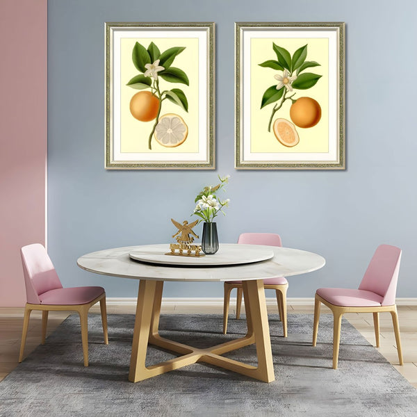 English Elm Set Of 2 Orange Fruit Botanical Prints In Solid Wood Frames - Stunning Kitchen Wall Art Decor 18X24 T3976P383225-GIGA