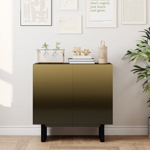 English Elm Modern Matte Black Accent Cabinet with Gold Wire Mesh Doors, Adjustable Shelves, Versatile Storage T3609P333087