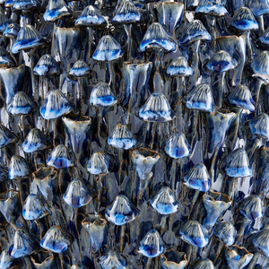 Manitapi Small Blue Vase - Handcrafted Black Terracotta with Stunning Bell-Shaped Flowers Decor