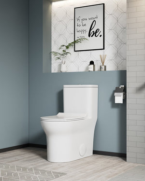 English Elm 1.1/1.6 Gpf Elongated Ceramic One-piece Toilet Skirted Base Comfort Height Soft Close B2724P246930