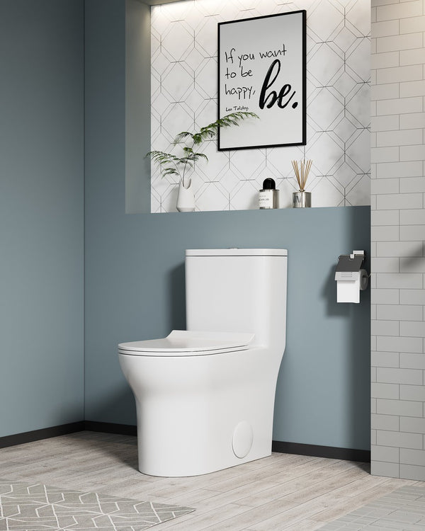English Elm 1.1/1.6 Gpf Elongated Ceramic One-piece Toilet Skirted Base Comfort Height Soft Close B2724P246930