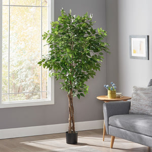 Christopher Knight Home® - Noble House - Harney 6' X 2.5' Artificial Ficus Tree, Green