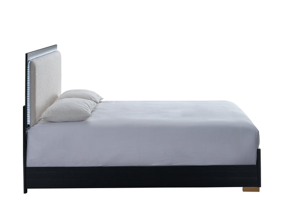 English Elm Steeler Full Panel Bed Led Backlit Headboard Teddy Upholstery Gold Accent Frame B078S00698