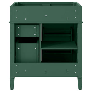 English Elm 30'' Modern Bathroom Vanity Cabinet With 2 Drawers, Tip-Out Storage & Adjustable Shelf – No Basin N710P250685F