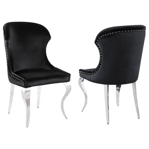 English Elm Daphne Velvet Wingback Dining Chairs with Nailhead Trim and Cabriole Legs Set of 2 Black B062S01462
