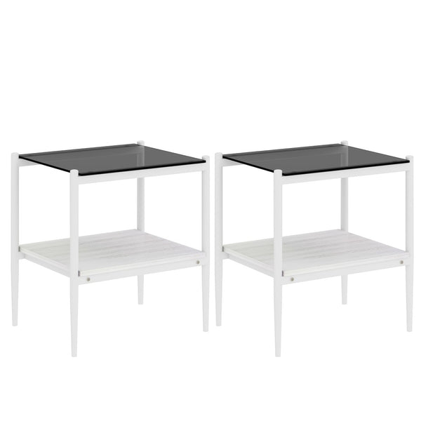 English Elm Set Of 2 Modern Rectangle End Tables With Gray Tempered Glass Top And Mdf Storage Shelf For Living Rooms W241P184250-GIGA