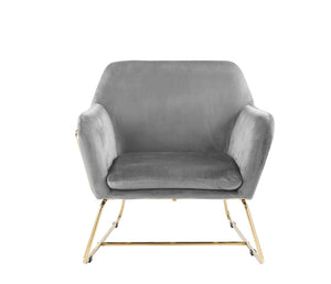 English Elm Kyra Velvet Accent Chair with Gold Metal Legs for Glam Living Room Decor Gray B2749P413225