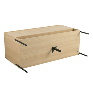 English Elm 48" Modern Freestanding Bathroom Vanity Cabinet, 3 Soft-Close Doors, KD Packing, No Sink Included W1972P199462