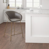 Isadora Modern/Contemporary Counter stool