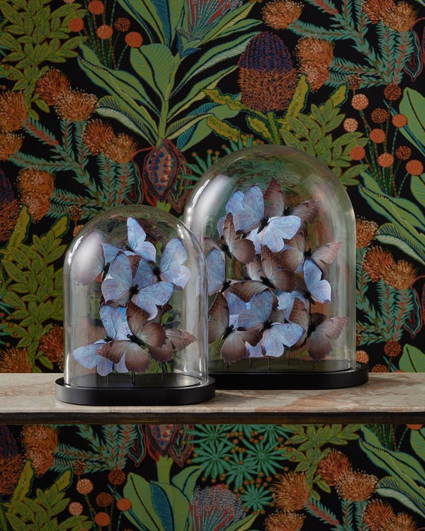 Currey & Company Rue De Bac Enchanting Medium Butterflies In Soft Blue & Pink - Elegantly Displayed Glass Dome Decor Blue Paper ,Engineered Wood ,Glass 1200-0976-currey-company