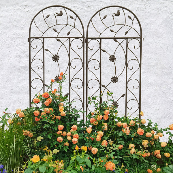 English Elm 2 Pack Powder Coated Steel Garden Trellis Tall Rustproof Climbing Plant Support Panels W1586P243847