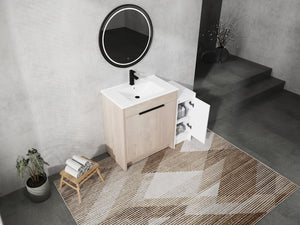 English Elm 42 Inch Freestanding Bathroom Vanity With Ceramic Sink, Soft-Close Doors & Ample Storage Space W999S00304