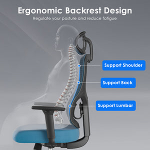 English Elm Ergonomic Office Chair With Adjustable Support, Mesh Back, 3D Armrests & Comfort For Home Or Office T3623P380839
