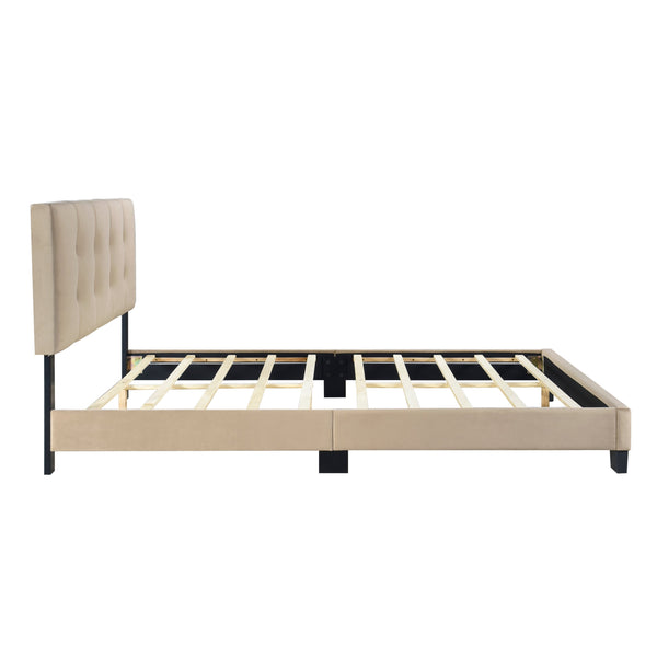 English Elm 1pc Queen Platform Bed Brown Velvet Upholstered with Button Tufted Adjustable Headboard, Low-Profile Solid Wood Frame 42" H Light Brown 65.5 L x 26 W x 5 H B011P203573