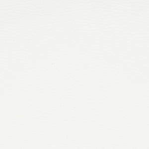 OSP Home Furnishings Gianna Task Chair White