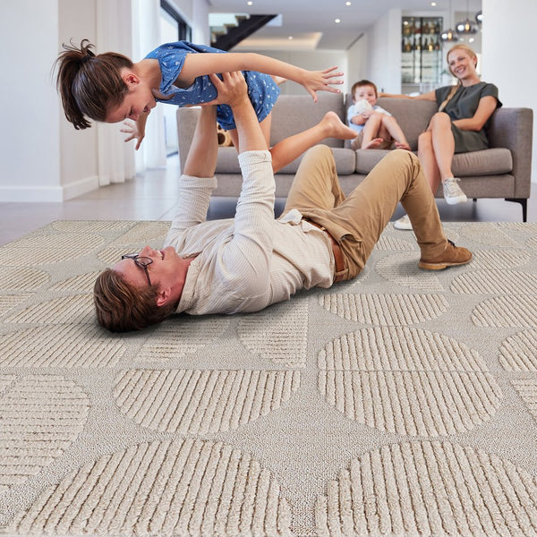 English Elm Step Collection Geometric High-low Pile Polypropylene Rug for Modern Living Spaces B189P448799