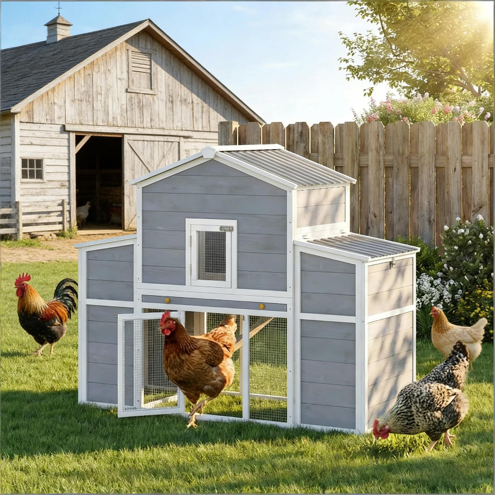 English Elm Wooden Pine Backyard Chicken Coop with Enclosed Run Nesting Boxes and Galvanized Tray T3971P481641